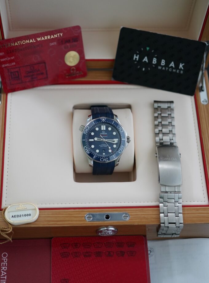 Omega Seamaster Diver 210.30.42.20.03.001